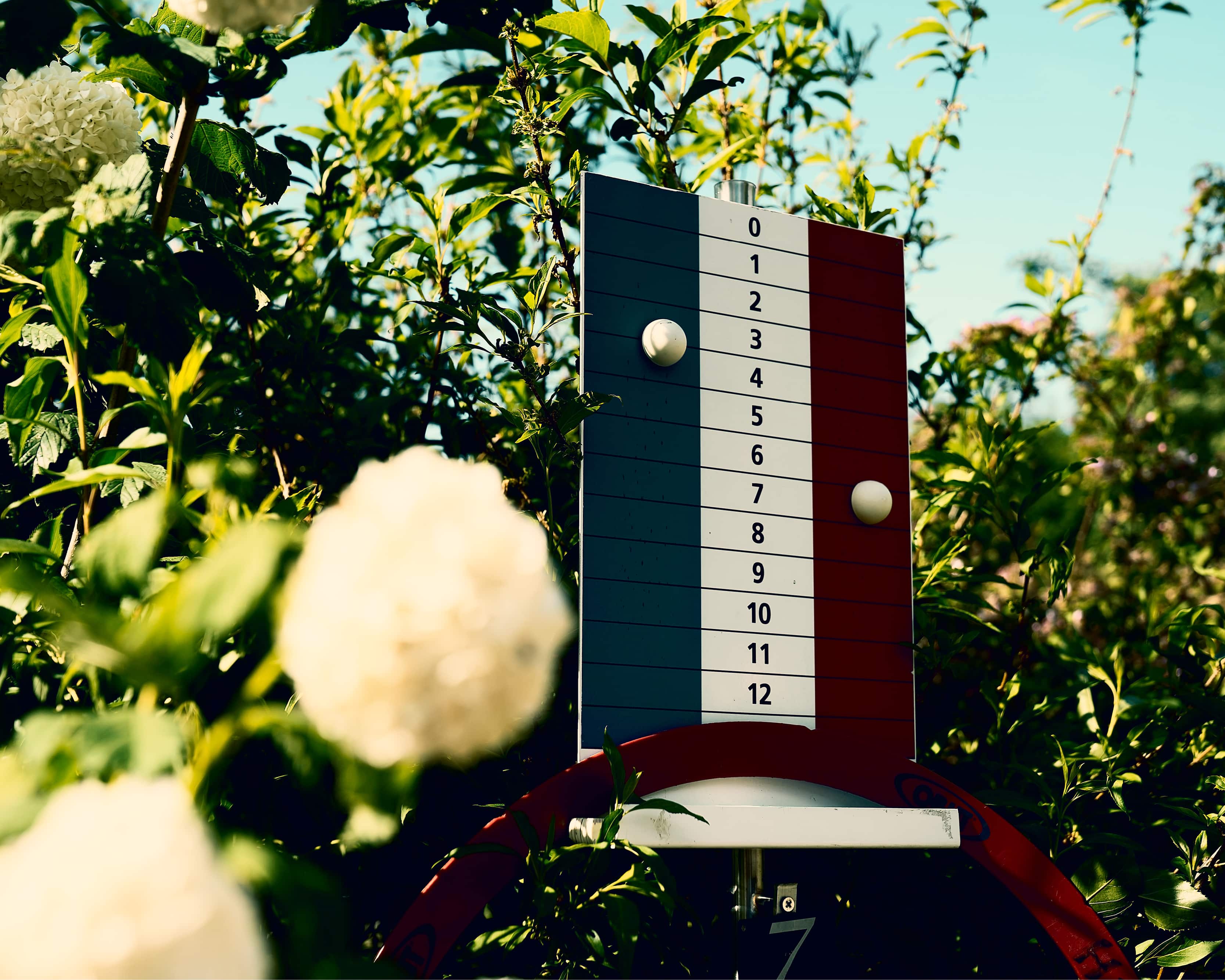 Novembre Open» am Samstag, 8. November 2025